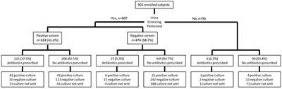 Under-utilization of Narrow-Spectrum Antibiotics in the Ambulatory Management of Pediatric UTI: A Single-Center Experience